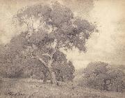 Percy Gray San Mateo Oaks (mk42) oil